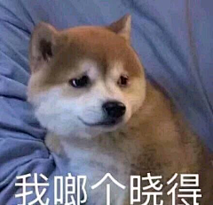 Mr-千辰采集到斗图