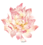 【新鲜蔬菜】古风免抠图189P_看图_白茶微甘吧_百度贴吧