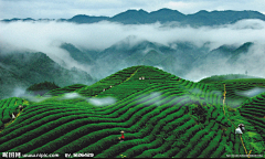 earlyxin采集到背景