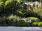 Peter Fudge Gardens - Outdoor Living : This north east facing garden had an existing retro style pool that dominated the space and as good as the shape was, it needed a powerful garden to match it.
 The brief included the needs of a family who enjoyed ent