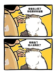 猫看家，猫好；人出门打不到猎，人坏_1_Emo_来自小红书网页版