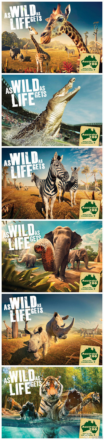 一组澳大利亚动物园的广告创意，现实版马达...