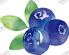 免抠蓝莓手绘 【酷图网】蓝莓,水果,甸果,水彩,手绘,免抠