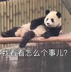 社会我爱姐的表情包也太生动了吧！_1_嗷呜一口_来自小红书网页版