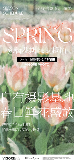 早先丶采集到排版版式