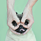 Loulou & Co. 发布的 Instagram 照片 · 2014-06-12，15:46 UTC : 观看 @meetthepugs 发布的照片 · 2,525 赞
狗、汪星人、巴哥