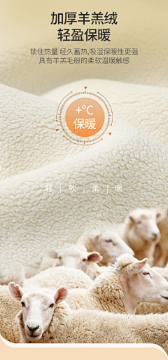 霜华雾林采集到毛毛