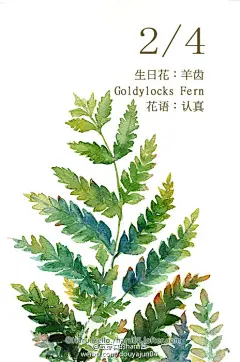 豆芽君的haru酱的微博_微博