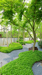 庭院景观设计到落成【实景】 | 上海沙纳花园案例