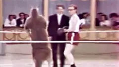 Woody Allen 伍迪艾伦打袋鼠—专辑：《萌宠》—在线播放—优酷网，视频高清在线观看