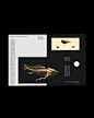 Behance :: 为您呈现
