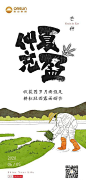 搜索-美叶