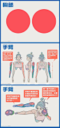 关于人体结构的小教程

作者：ZeenChin