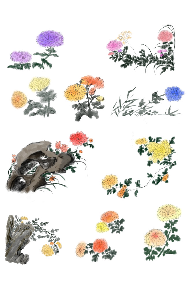 菊花