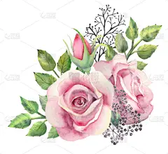 一束粉红色的玫瑰花，绿色的叶子，红色的浆果，装饰的枝条在白色孤立的背景。海报，邀请函。装饰贺卡或请柬