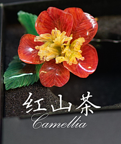 viixhu采集到热缩片