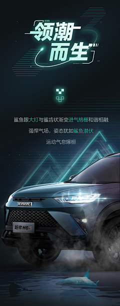 一只凯猫采集到板式