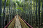与自然生长——安徽霍山太阳乡竹林徒步道 / 傅英斌工作室 – mooool木藕设计网