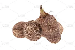 一组甜芋头根，孤立于白底arbi或Aravi根上，横截面切成一截