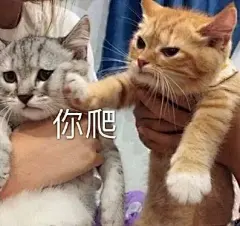 今日份的沙雕无水印可爱表情包出炉啦 ​​​​