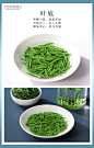 兰馨正宗贵州湄潭翠芽雀舌2021新茶叶特级明前绿茶高山云雾茶250g-天猫超市-天猫Tmall.com-上天猫，就购了-理想生活上天猫