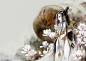 彼岸芳华 - 画廊 - 天下3图库