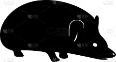 分离着色,刺猬,白色背景,可爱的,野生动物,自然美,小的,动物,阴影,剪影