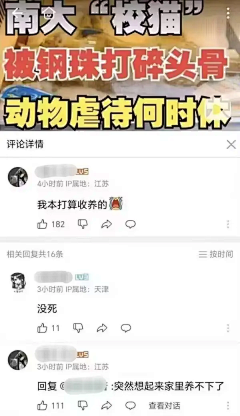 永远的郁金香采集到无聊梗图