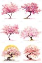 植物通用粉色插画单棵樱花树元素素材