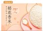年味巡礼季 稻花香米