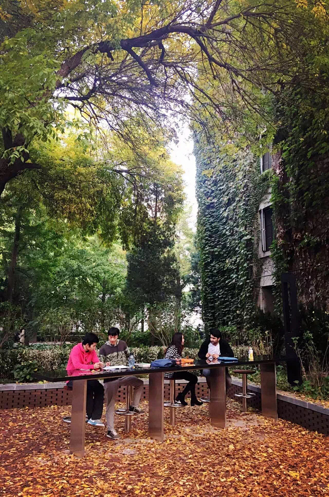 北京林业大学“树洞花园”

“树洞花园“...