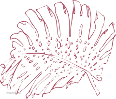 甚欢77777采集到插画-植物素材