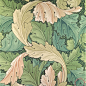威廉·莫里斯William Morris 1830——1896acanthus