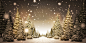 Christmas Night Twitter Cover & Twitter Background | TwitrCovers