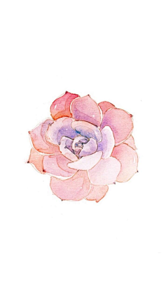 Paranoia清采集到花 绘画