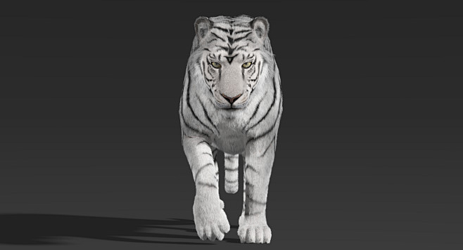 神兽鲲山海经异兽神话神兽鲸鱼暴龙虎