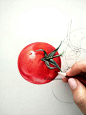 原创作品：【溶萱手绘――彩铅蔬果】番茄