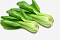 两颗青菜png免抠素材_新图网 https://ixintu.com 蔬菜 小白菜 两颗青菜图