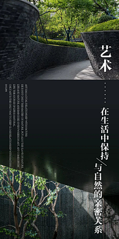 章DDDD采集到文本