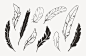 手绘羽毛矢量图形 Hand Drawn Vector Feathers Favorite this – 设计小咖