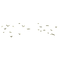 综合鸟类免抠PNG透明图片素材【109张】_免抠PNG图片_图片素材 - 第11页 _FL PS中国园地网(WAP手机版)