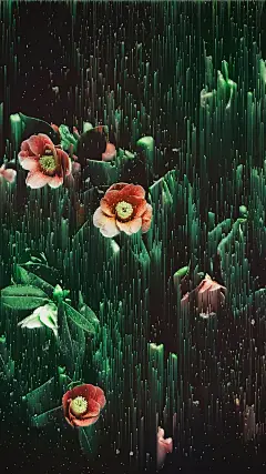 目录｜平面设计
主题｜流动花影
内容｜创意花朵手机壁纸
颜色｜紫色系
艺术家｜Jessica Andersdotter
平面设计设计全球#设计美学# ​​​ ​​​​