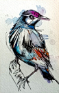 Grackle- 4"x6" Original Ink & Watercolor. $30.00, via Etsy. BY ABBY DIAMOND