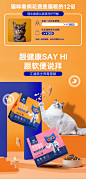 江湖萌主无谷鸡肉猫粮 成猫低敏幼猫增肥鲜肉软便克星全价猫粮2kg-tmall.com天猫