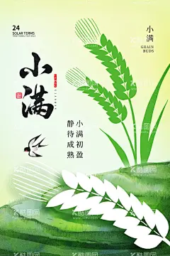 小满节气  - 源文件下载【酷图网】小满,节气,手绘,插画,海报,种地,农民,耕田,水牛