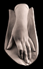 Female Hand - sculpture from The Giust Gallery: 