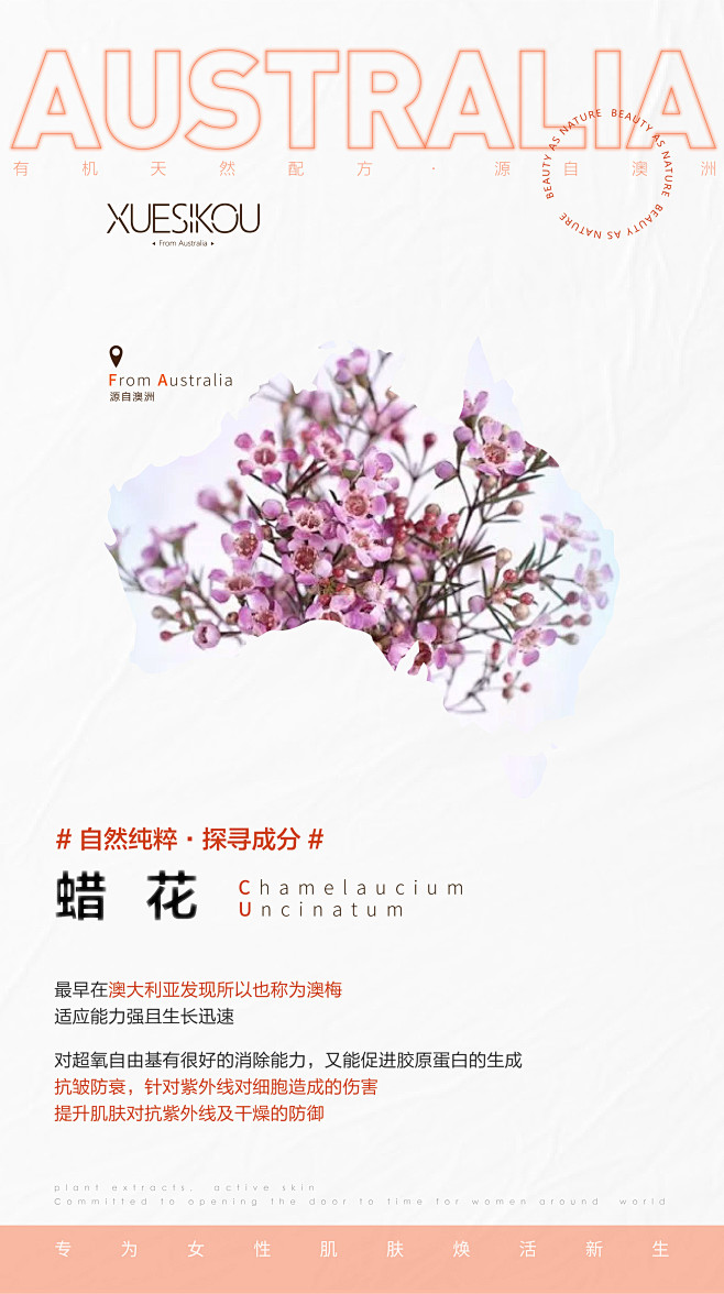 产品—澳洲四大原料
Design：SAN...