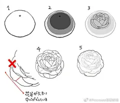 手帐素材插画手绘超话花卉的画法，拿去练习吧，转需！
 ​​​​