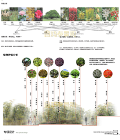 haiyanpei采集到z-植物