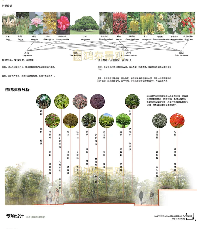 景观竞赛植物分析图psd素材植物专项种植设计策略搭配方案ps素材-淘宝网-花瓣网